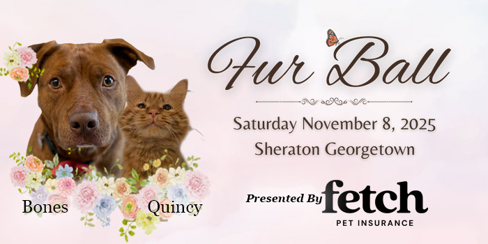 Event Logo Image