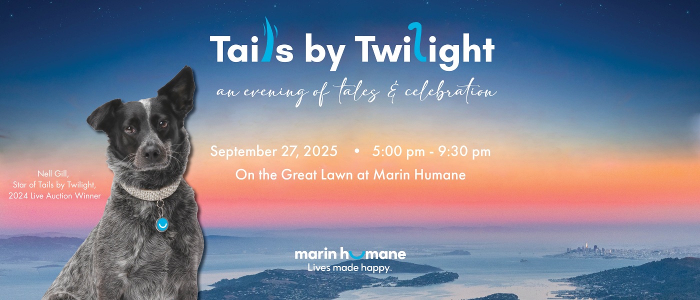 Event Logo Image