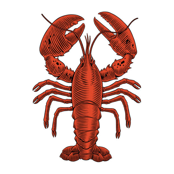 Nav Logo Image