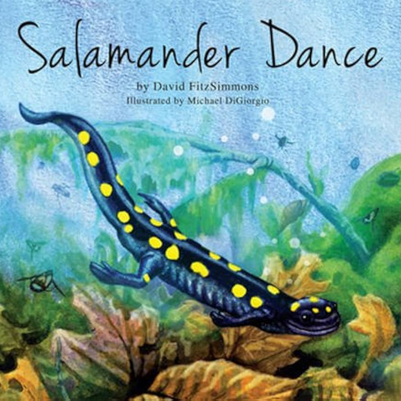 Salamandar Dance