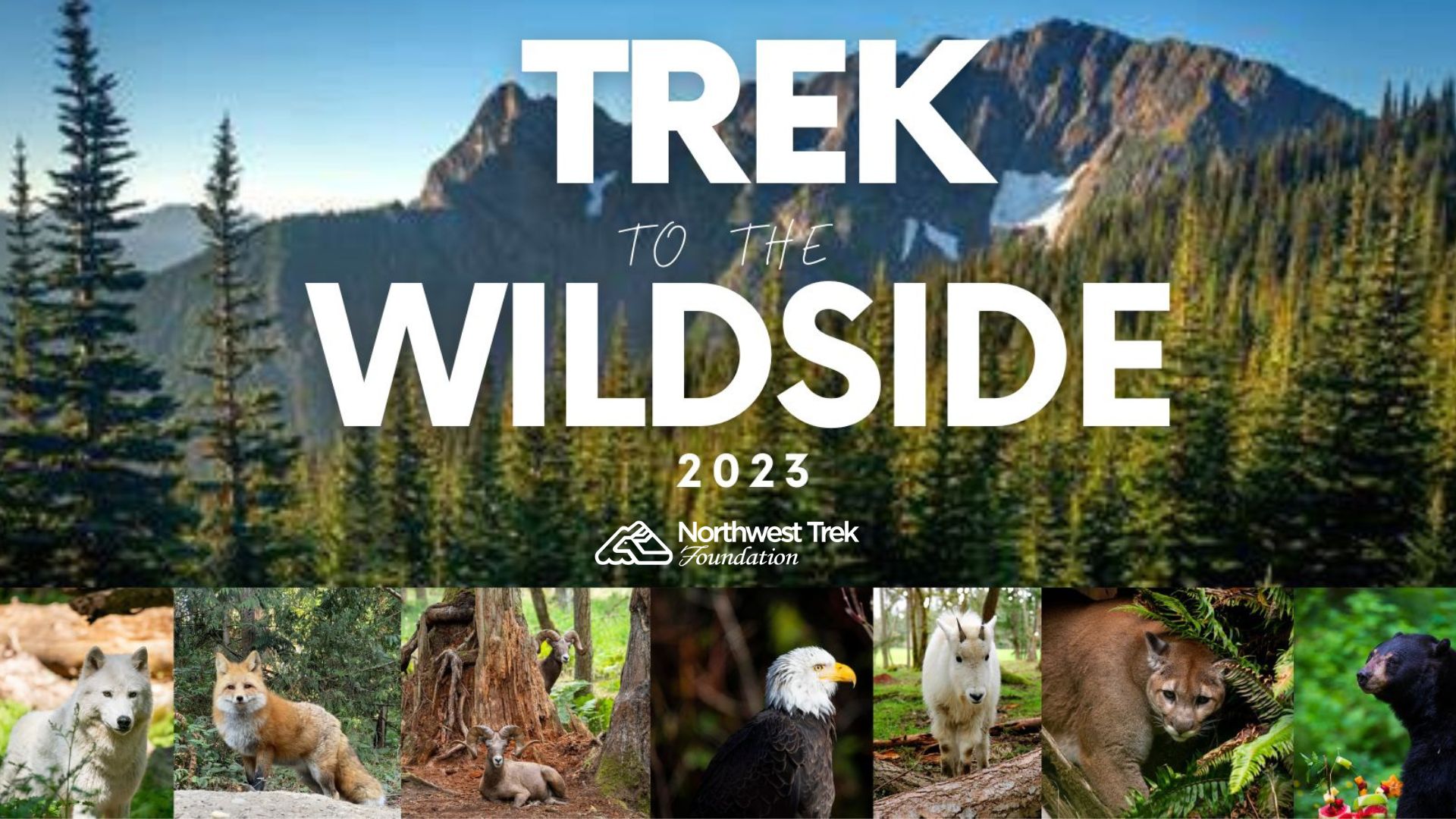 Event Logo Image