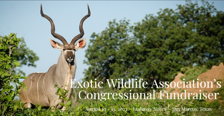 Event Logo Image