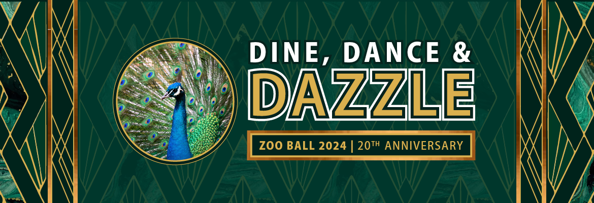 Event Logo Image