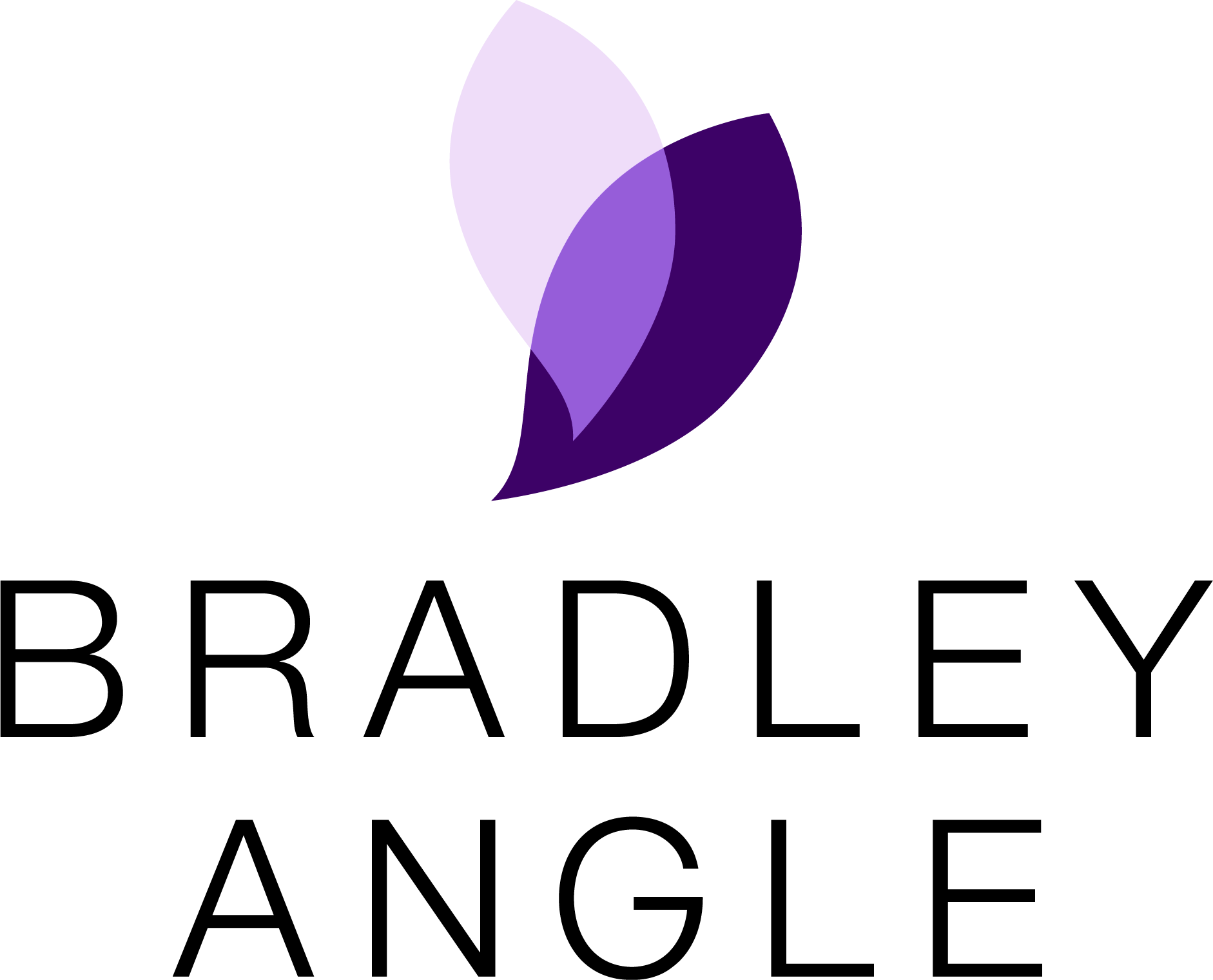 Nav Logo Image