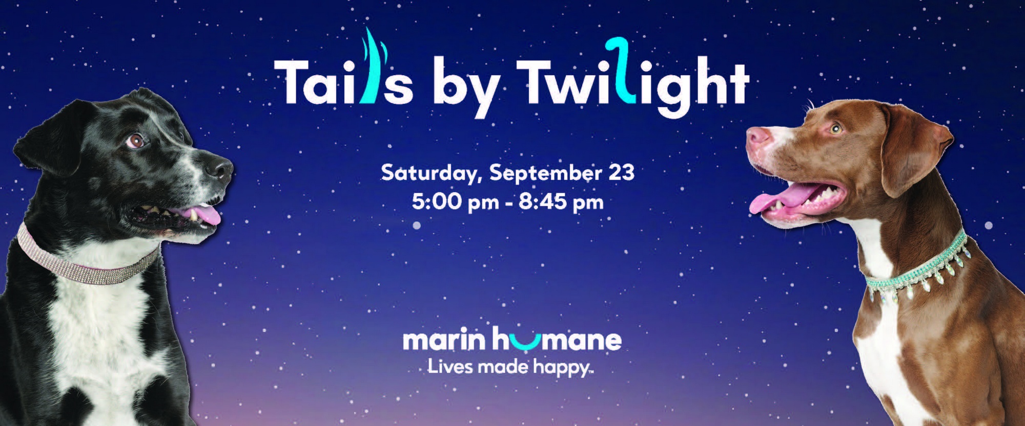 Event Logo Image
