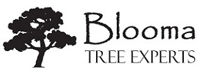 Sponsor Logo 5