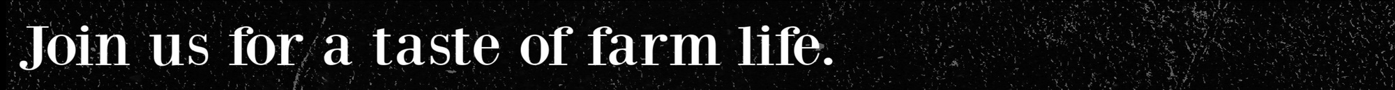 Nav Logo Image