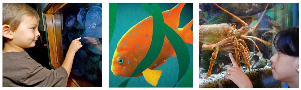 Event Logo Image