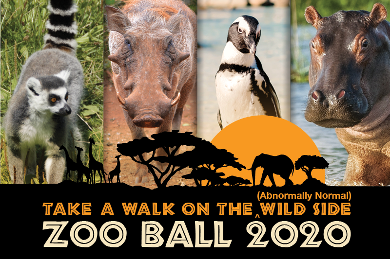 Event Logo Image
