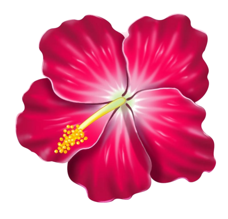 Nav Logo Image