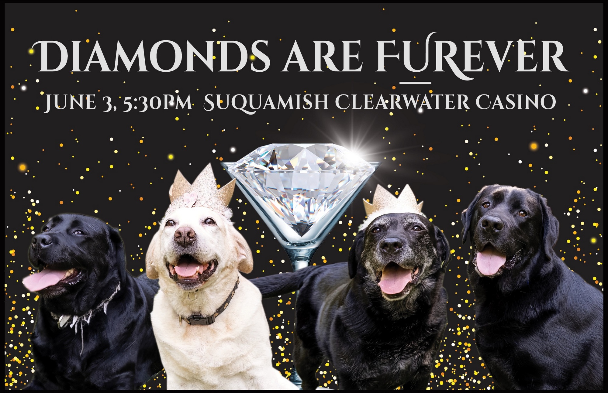 Event Logo Image