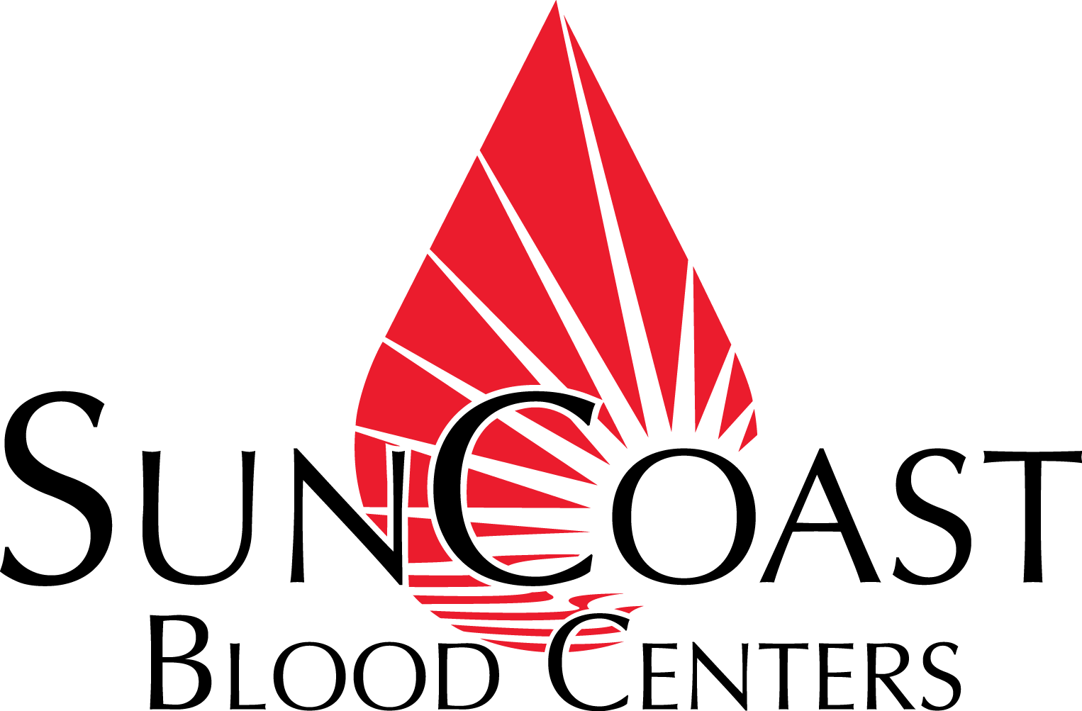Nav Logo Image