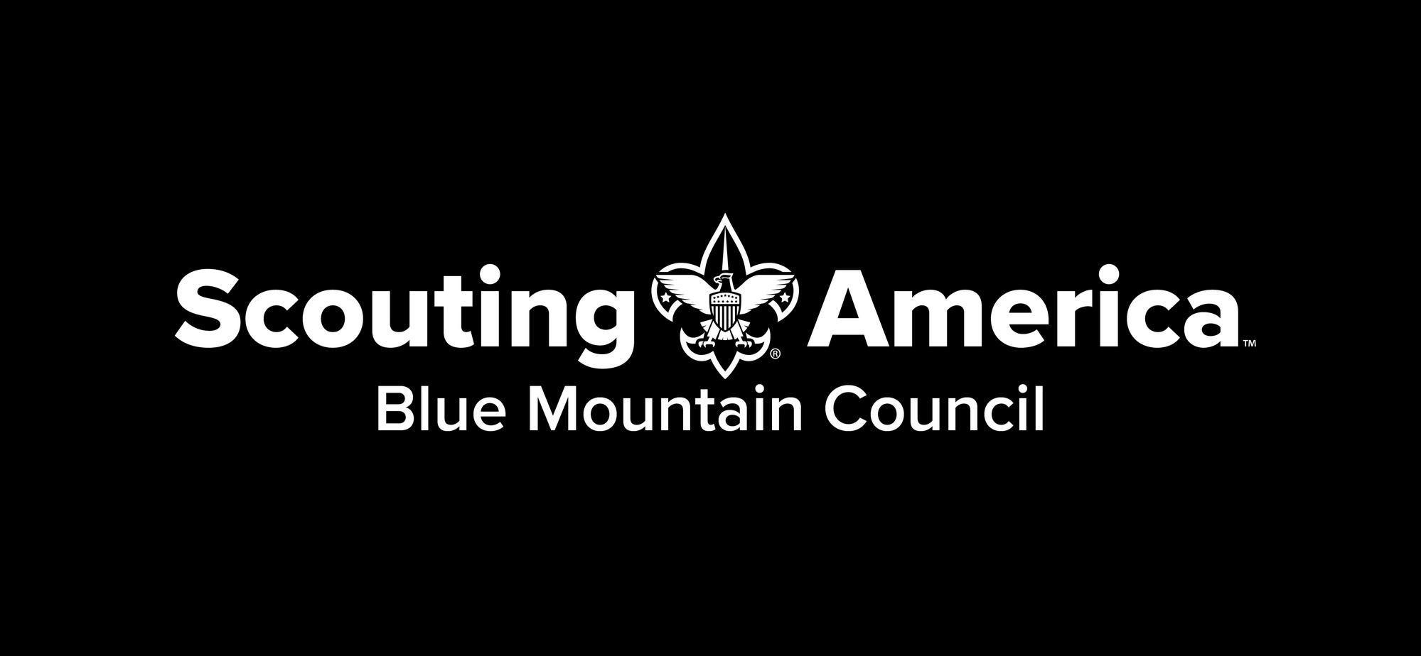 Nav Logo Image