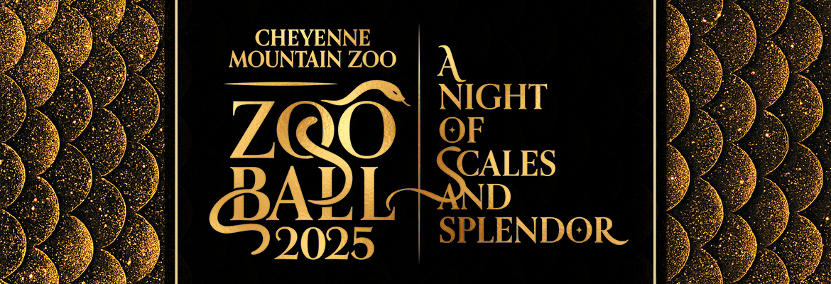 Event Logo Image