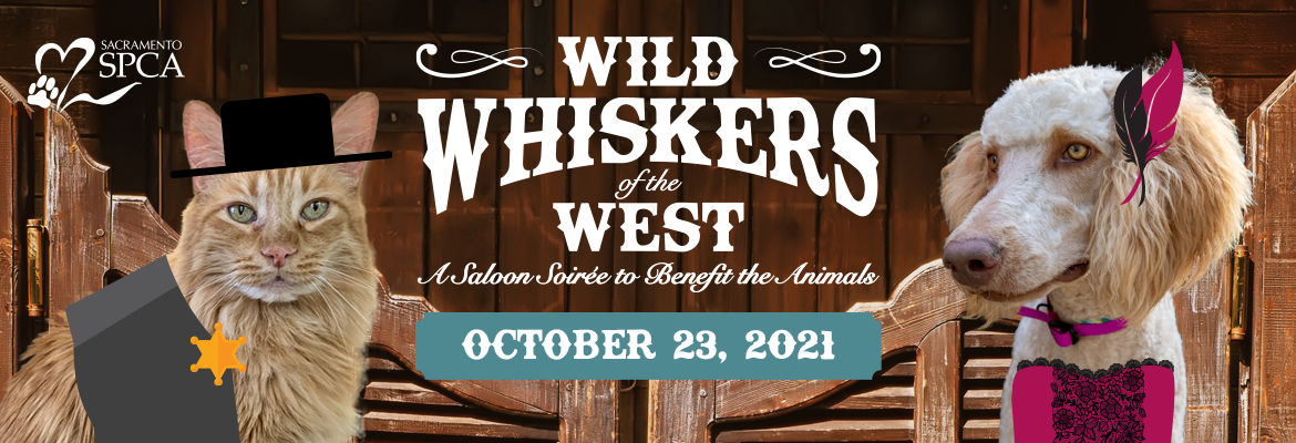 Event Logo Image