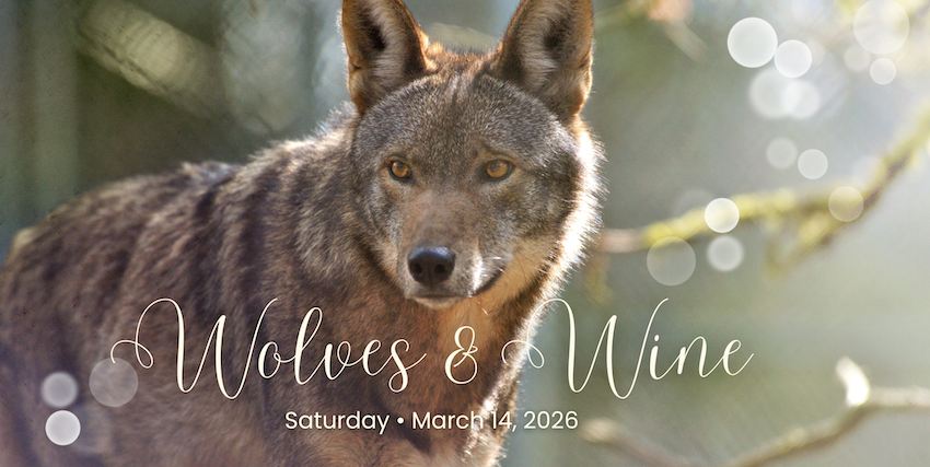 Event Logo Image