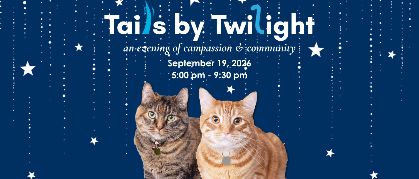 Event Logo Image