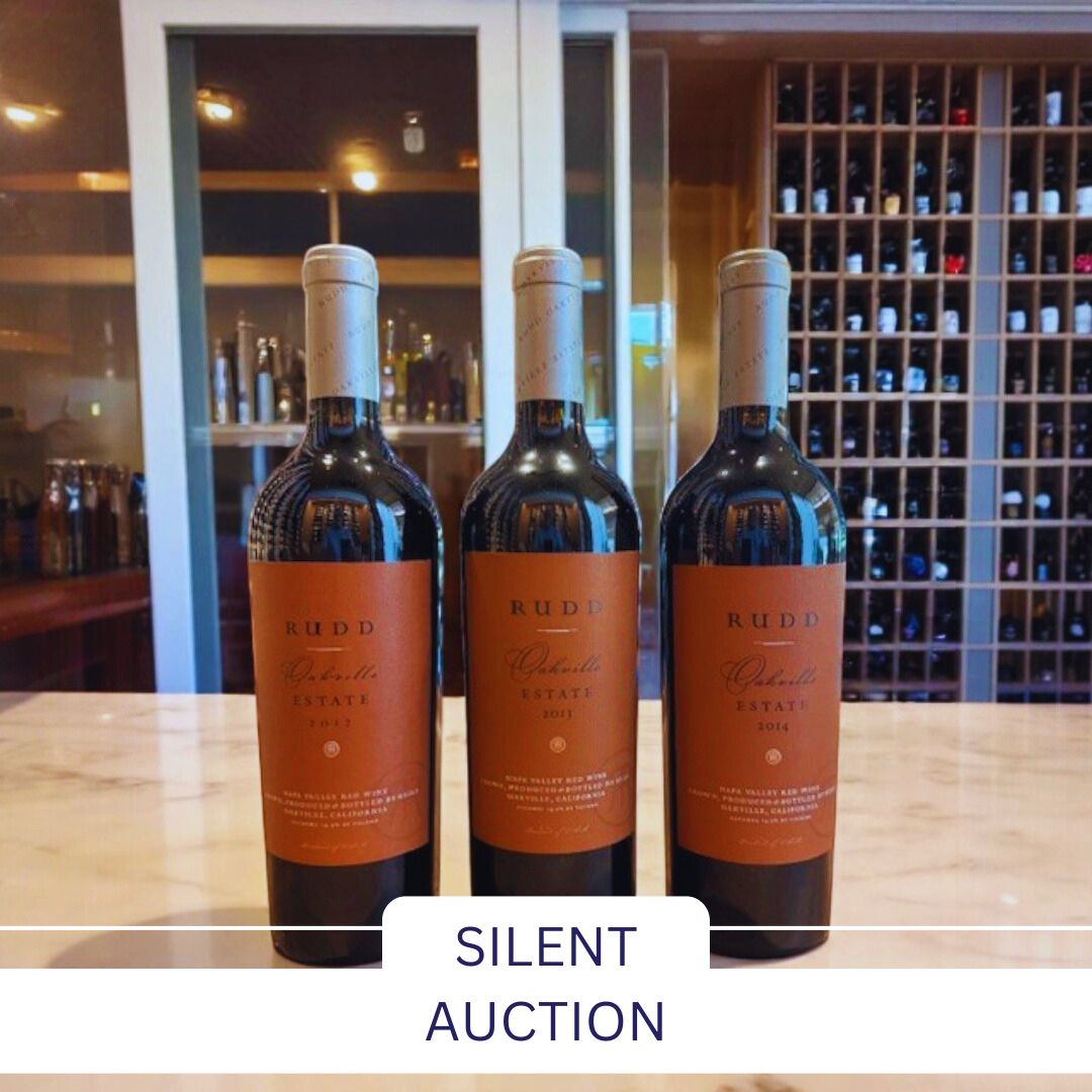 Silent Auction LCCF