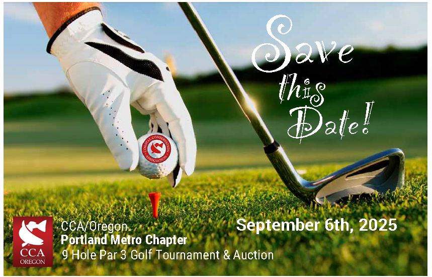 Event Logo Image