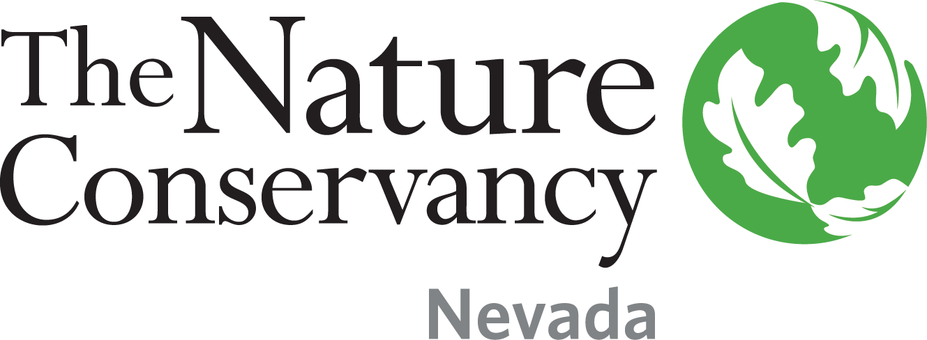 Nav Logo Image