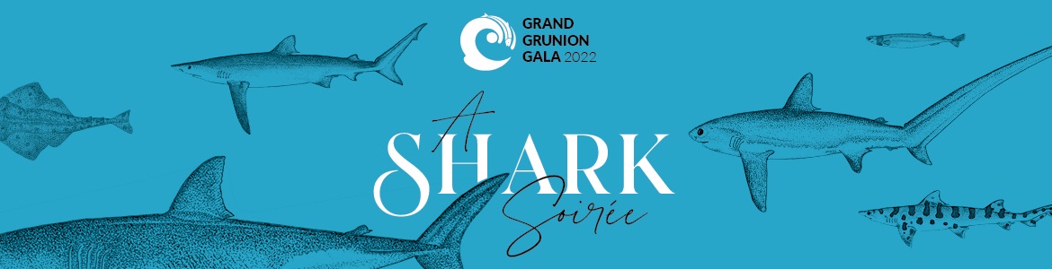 Event Logo Image