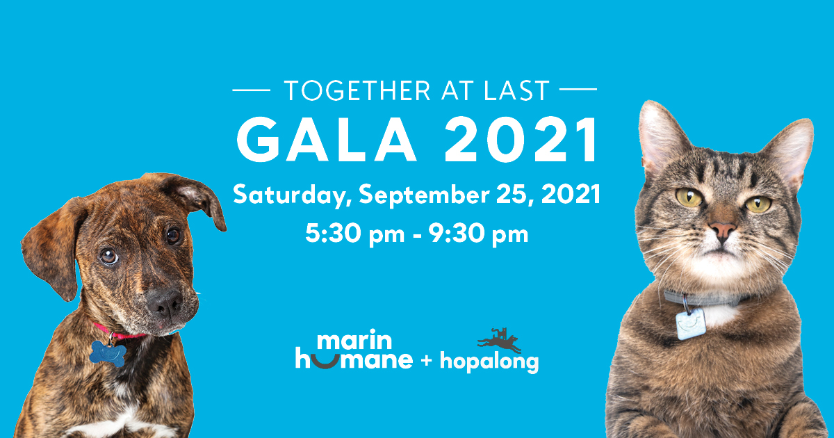Event Logo Image