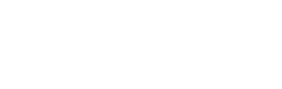 Nav Logo Image