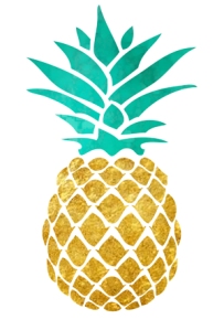 Nav Logo Image