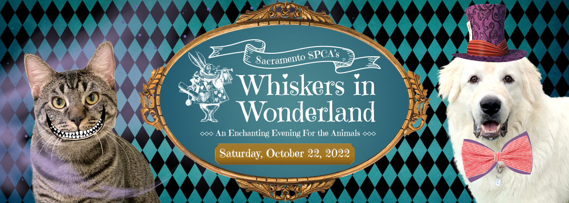 Event Logo Image