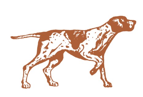 Nav Logo Image