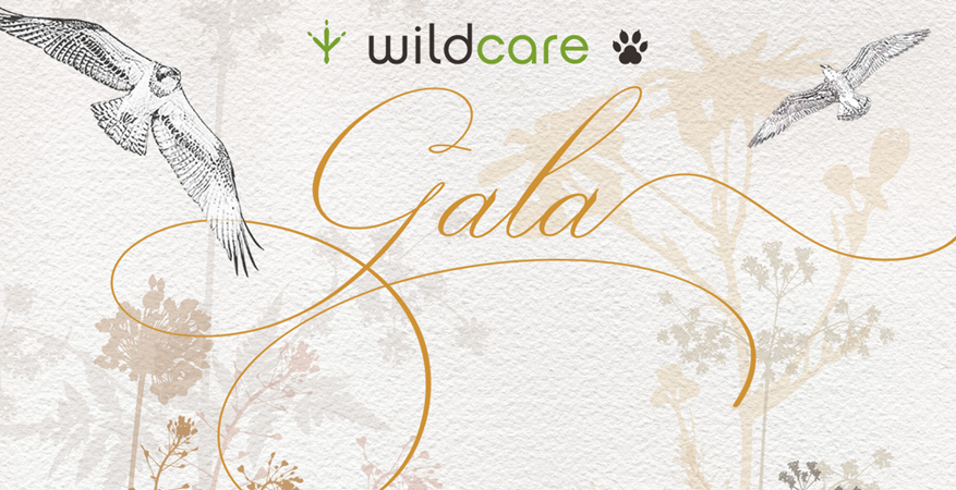 Event Logo Image