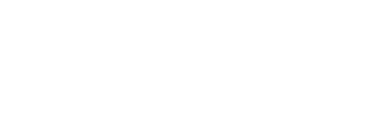 Nav Logo Image