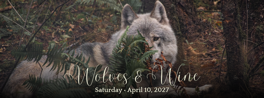 Event Logo Image