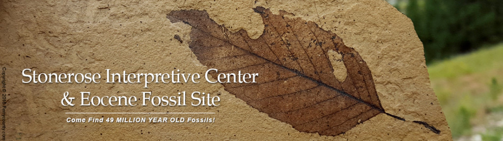 Event Logo Image