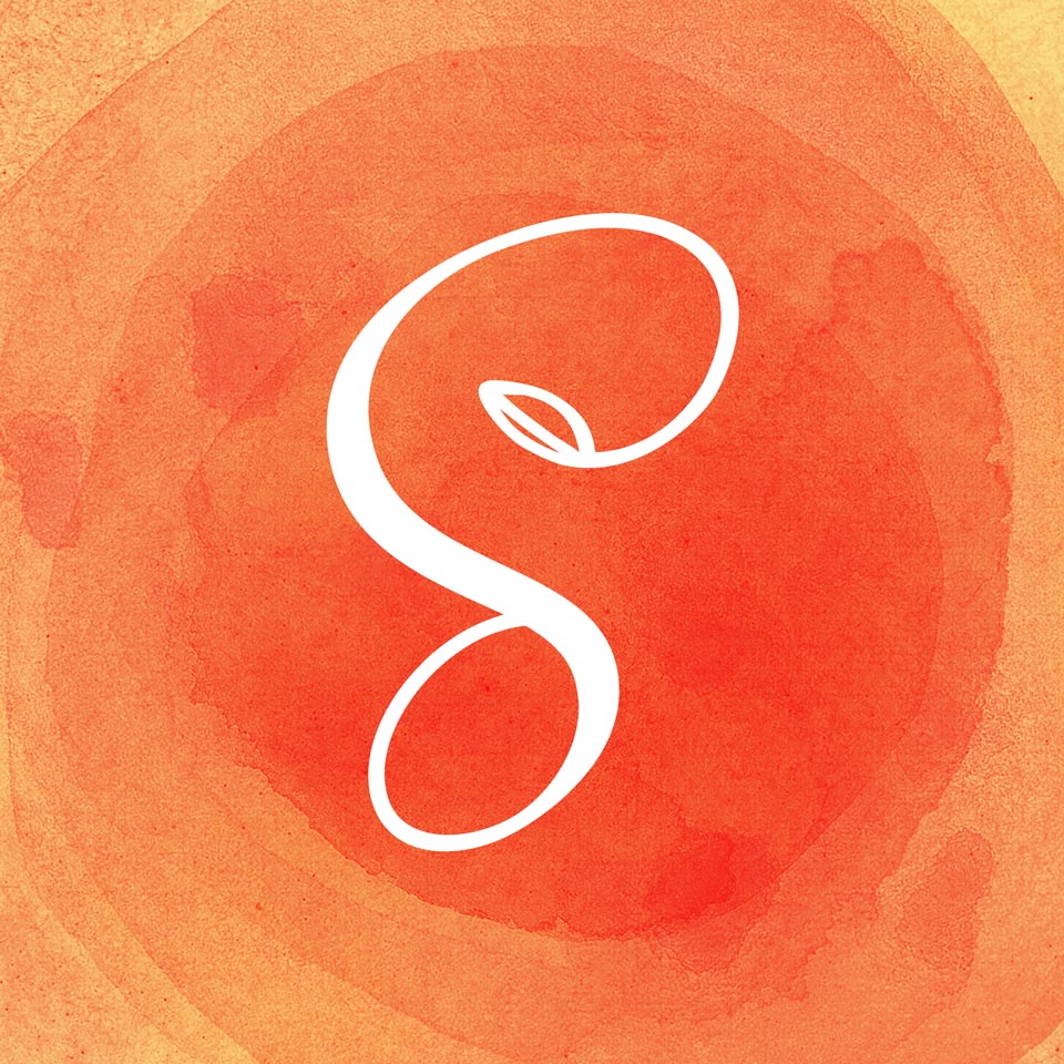 Nav Logo Image