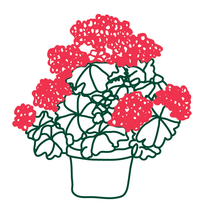 Nav Logo Image