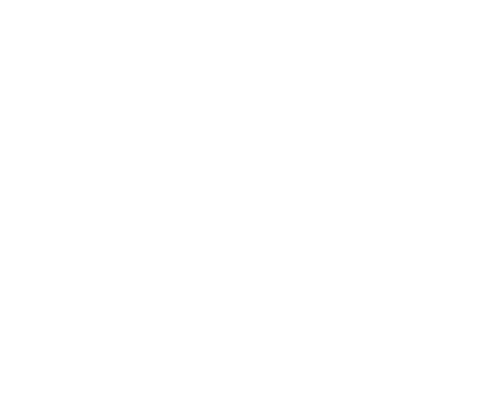 Nav Logo Image